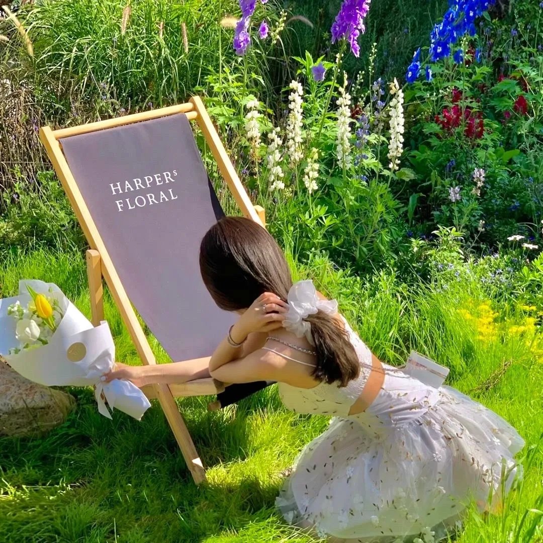 重生后千金出逃哥哥们找疯了